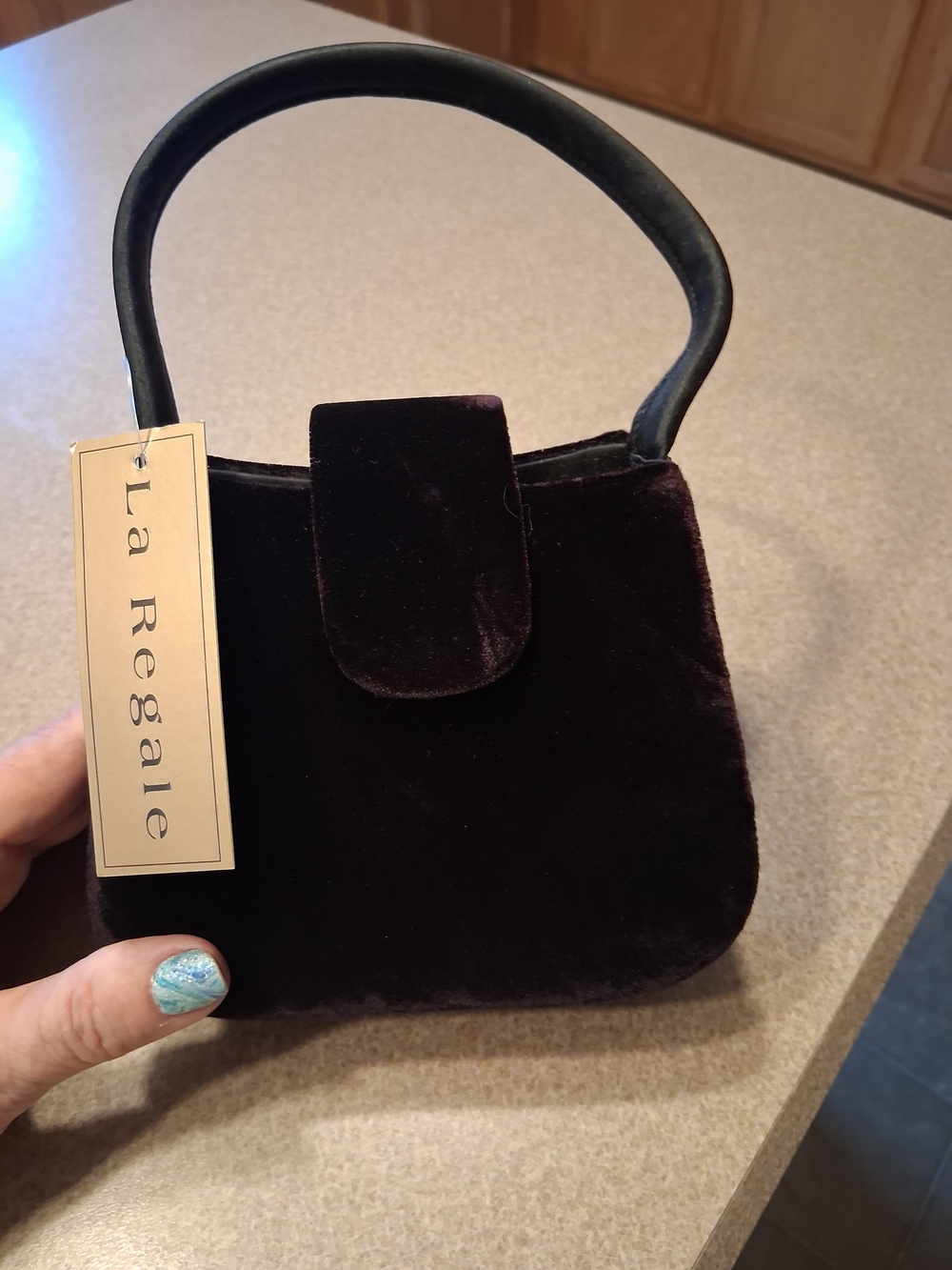 NEW La Regale Black Plush Velvet Mini Handbag